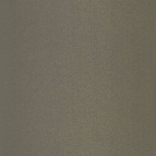 Tapeta Caselio Chevron CVR 10223 92 25 Uni Metallise Irise