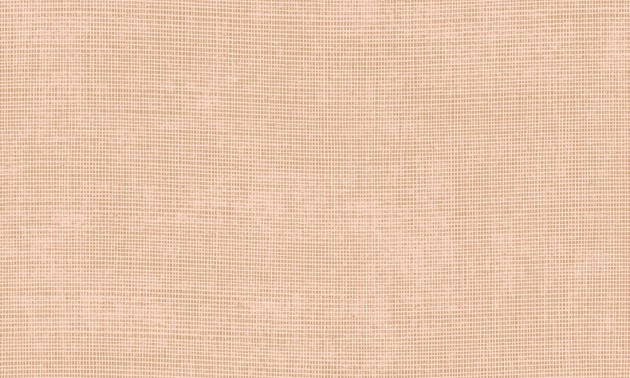 Arte 73089A Manila Tulle Nude - tapeta jednolita o strukturze tkaniny