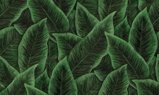 Tapeta Arte Decors & Panoramiques 97572 Bird of paradise