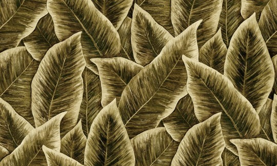 Tapeta Arte Decors & Panoramiques 97571 Bird of paradise