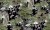 7588953b8efed309817c9a3cf1cf26c3