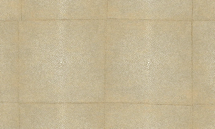 11855812a19c32a21ebbe2b08383c694