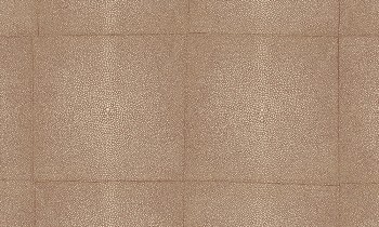 d0ea054e2cd784db08aa9cf2ea6df251