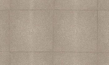 c9820862bb81e4ec0cb94d4d7a18ae87