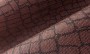 605a6579debb4fdf77808c58701b5743