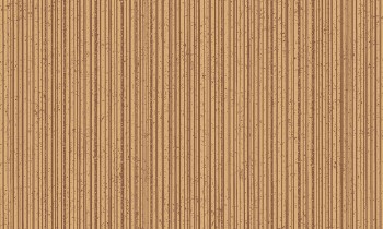 24703e0f5bc6d1c534fc408887175ba5