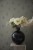 22ecea2d4bde525366a9ca0e966b321a