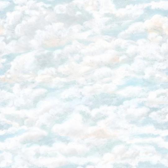 Tapeta Sandberg Arv 646-06 Himmel Light Blue