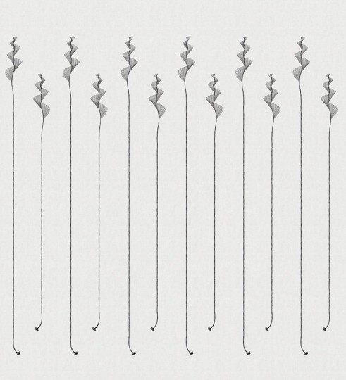 London Art 18509-02 Exclusive 18 Spirali - mural w kwiaty