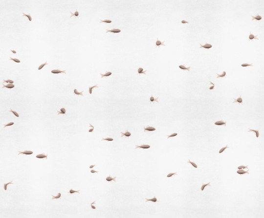 London Art 18511-04 Exclusive 18 Pesci rossi - mural w ryby