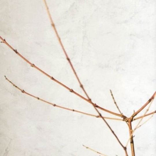 OL / Tapeta Casadeco So White 3 SOWH 2696 00 42 Uni Marbre Geode - 1 rolka