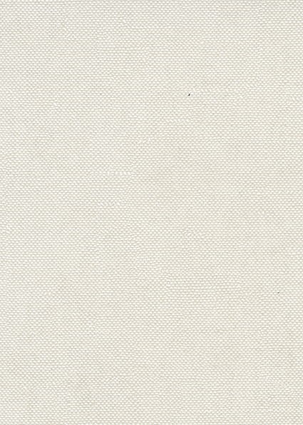 Khroma CLR001 Hawana Lys - tapeta jednolita
