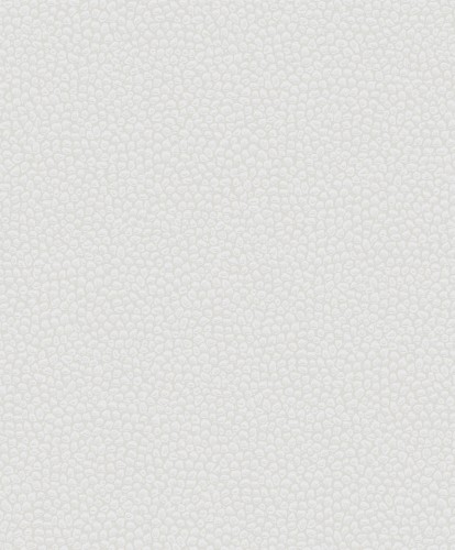 98e8f838f3da21febe3cff9c90e1fd89