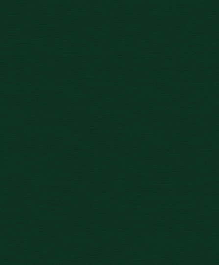 Tapeta Zoom Goja OLI703 Gini