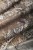 c7c428f46dd1d2faea928dbc88024bb3