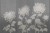 5c1ef246cc1d935145fd6a8952e239b9