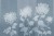 0ac8b19b06d6b7f02175dd9c9bc5ffea