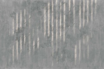 433ecdea2fde8b1286a55473ae6b2ee0
