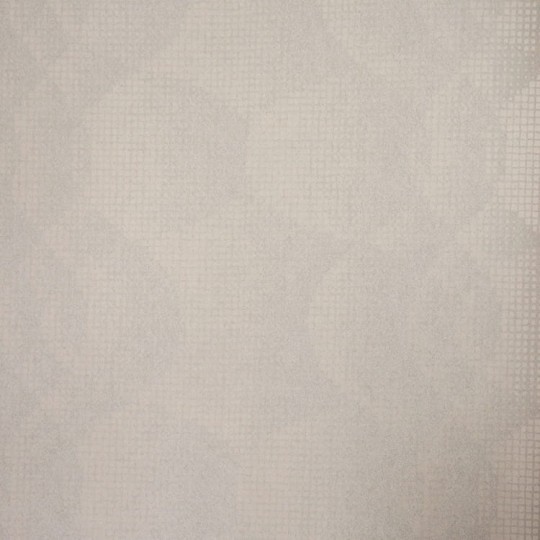 Tapeta Camengo Perspectives 72300225 paradoxale courbe gris perle