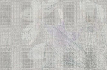 f44dacf31ce7067c008a0e52e595b3fb