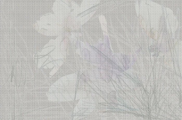 f44dacf31ce7067c008a0e52e595b3fb