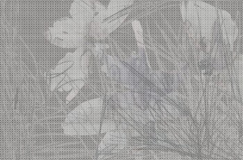 cfd3137463f629701bd8d7efbcdbb306
