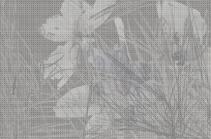 cfd3137463f629701bd8d7efbcdbb306