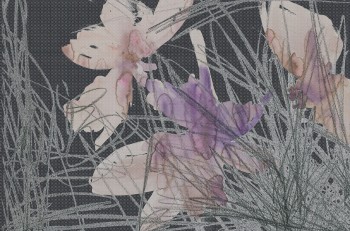 9ffc7033094ad501b6fb7e1530c1b4b3
