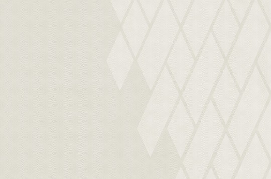 Mural Tecnografica Decoratives Grigio Argento ALMOND DARK