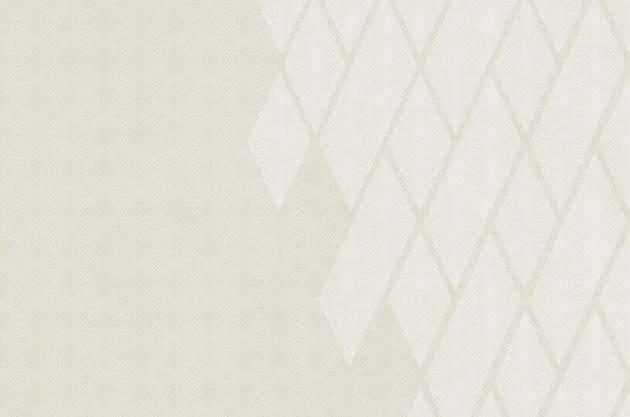 Mural Tecnografica Decoratives Grigio Argento ALMOND DARK