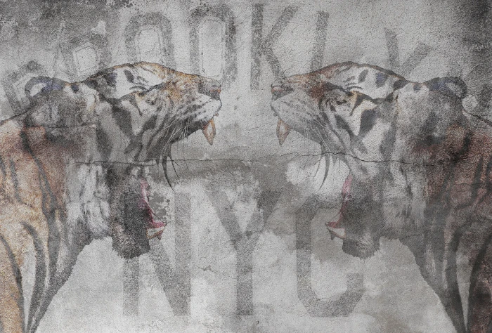 673d26efcd5040deac517cb49140f8af