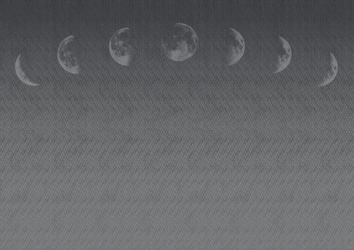 fdf3f42f691ba4e97c9802f14c5e0bcf