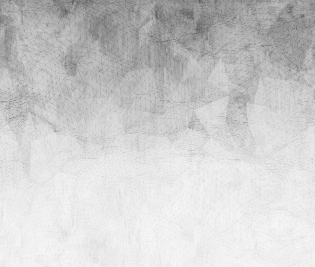 Mural Tecnografica Our Evergreens Net GREY