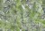 daec6739cb06d03b9c5ff003b2f320ab