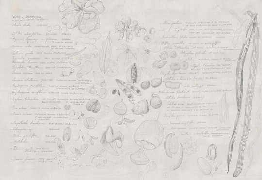 Mural Tecnografica Art Margherita Leoni Seminami GREY