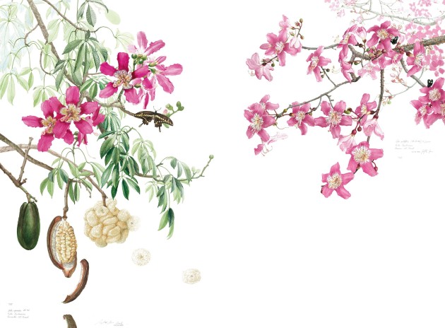 Mural Tecnografica Art Margherita Leoni Ceiba PINK