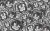 142b91da1233a395e831b5b61f7403b1