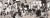157655c58c2441aabd98d6fe43648e7e