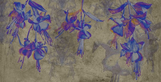 Mural Tecnografica Art Giorgia Beltrami Fuxia ULTRA VIOLET