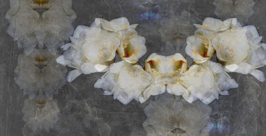 Mural Tecnografica Art Giorgia Beltrami Fresia GREY