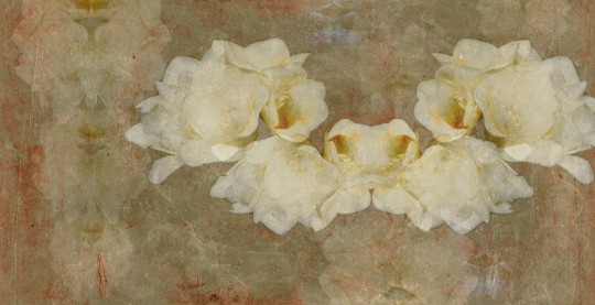 Mural Tecnografica Art Giorgia Beltrami Fresia OCRA