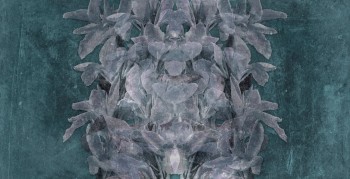 04210e9be448f48000316ad2db53b88d