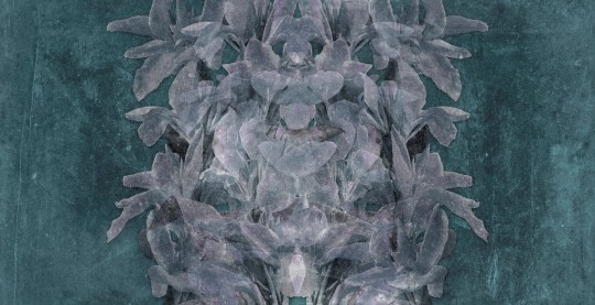 Mural Tecnografica Art Giorgia Beltrami Faxtum OTTANIO