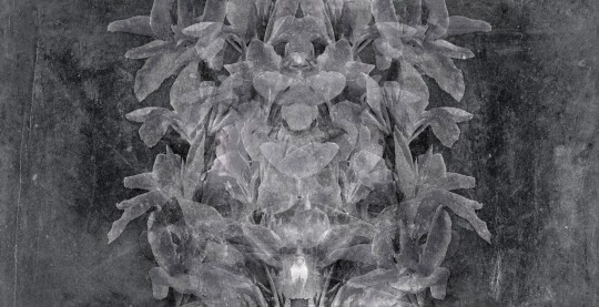 Mural Tecnografica Art Giorgia Beltrami Faxtum ANTHRACITE