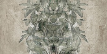 7bb0429c9ccafdf79a9335102e58b359
