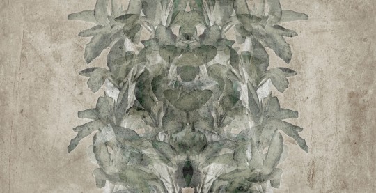 Mural Tecnografica Art Giorgia Beltrami Faxtum GREY