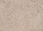 440a3a8197c4dbdf582954f7b101afa4