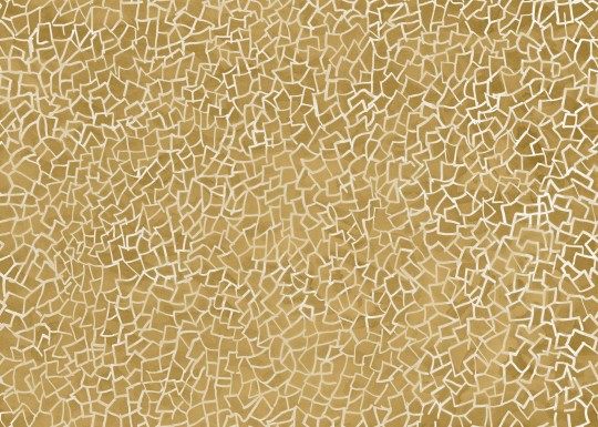 Mural Tecnografica Art Antonio Albertini Pragmatico TURMERIC