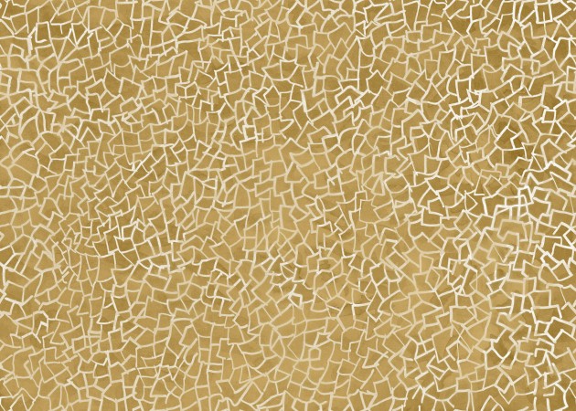 Mural Tecnografica Art Antonio Albertini Pragmatico TURMERIC
