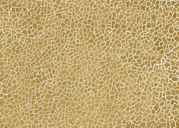 8e48b4aa9a2aa4101ca54ee8c94b924e